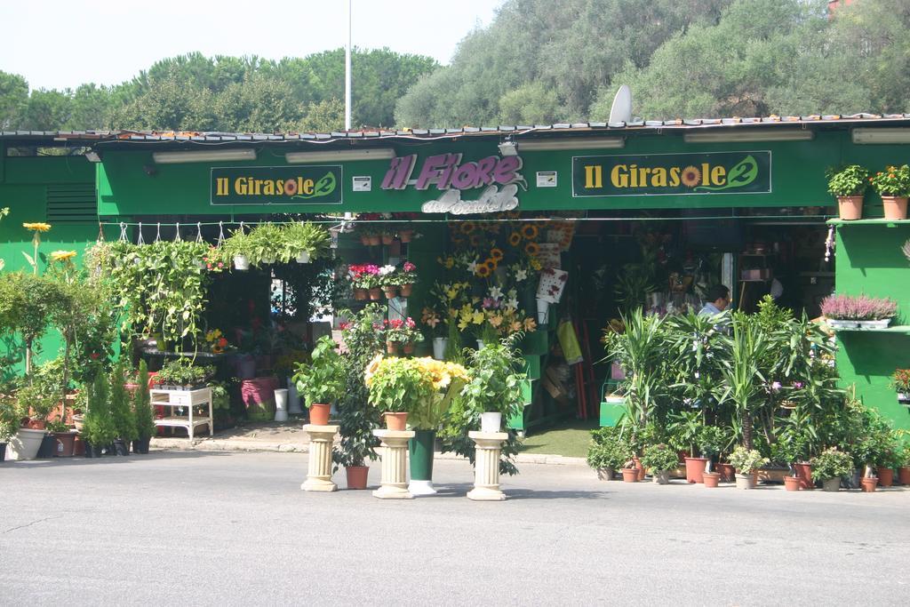 Vittoria Guest House Roma Exterior foto